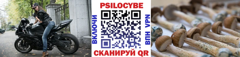 Псилоцибиновые грибы мицелий Урюпинск