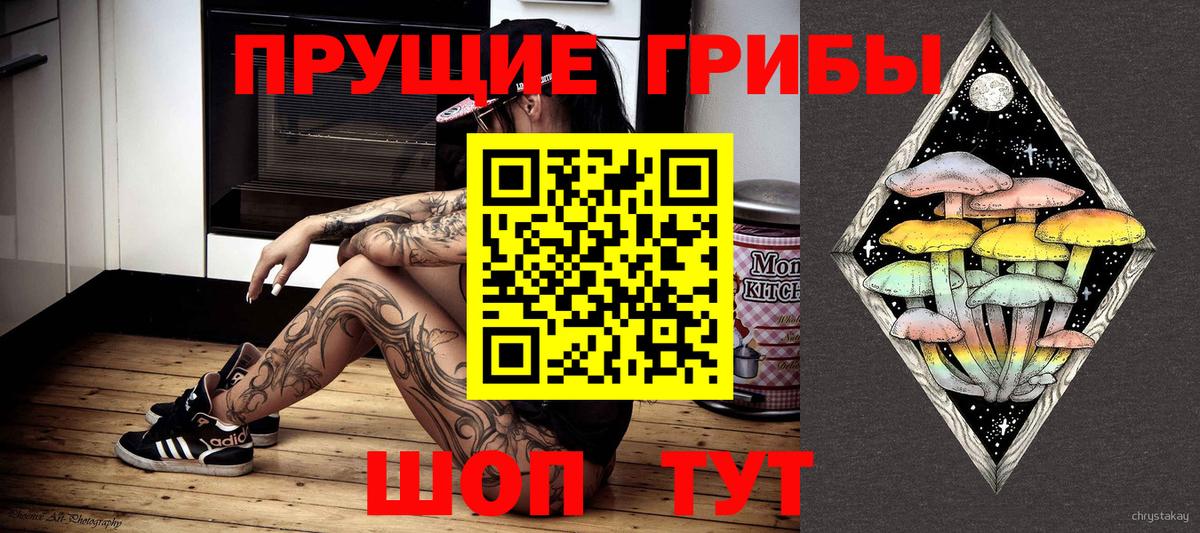 Псилоцибиновые грибы Psilocybe Урюпинск