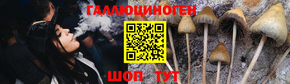 Урюпинск  Галлюциногенные грибы мухоморы  Галлюциногенные грибы Cubensis  Вход с VPN 